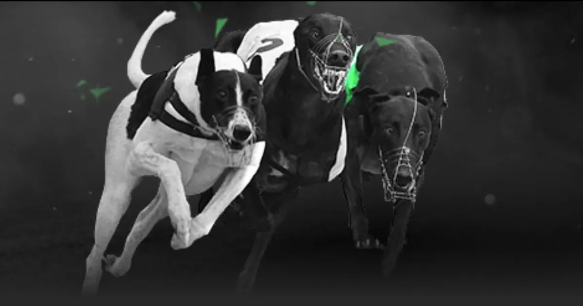 激战柔佛新,申花双星阿,苏埃联手路,BET365体育,BET365综合体育,BET365综合,BET365体育APP,BET365体育官网