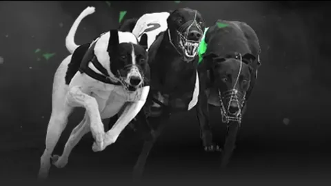 激战柔佛新山！申花双星阿苏埃联手路易斯，吴曦、李可领衔出战，巅峰对决一触即发！